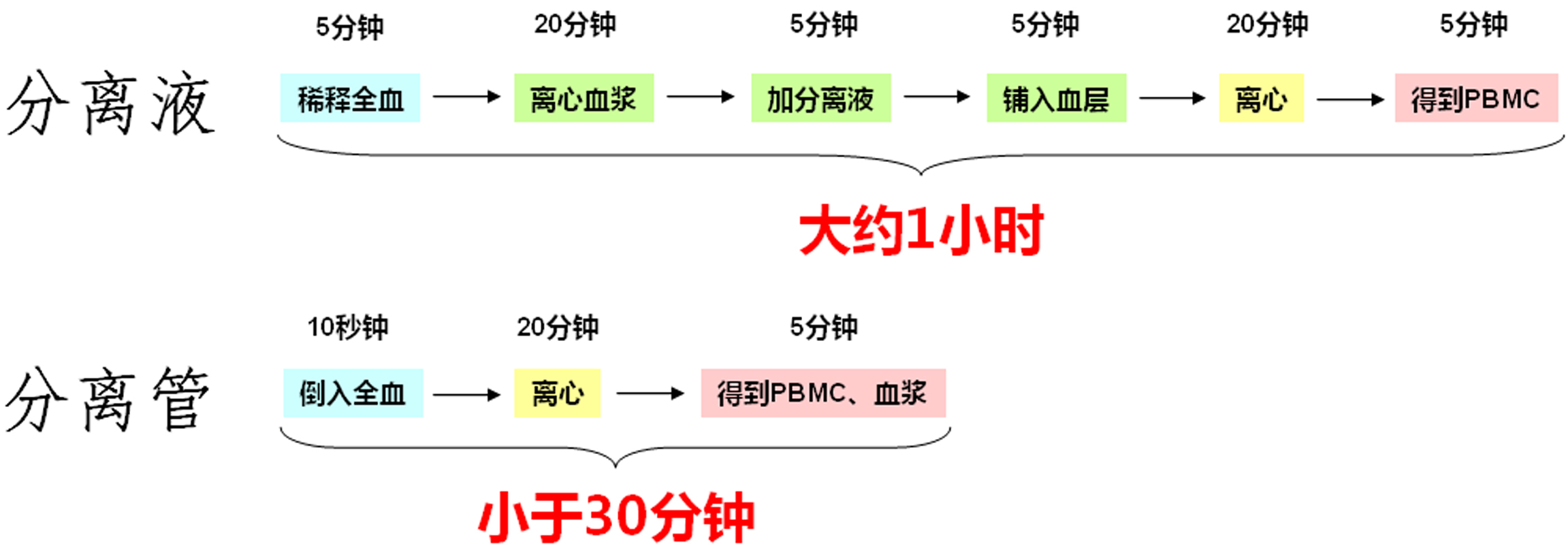 分離管2.jpg