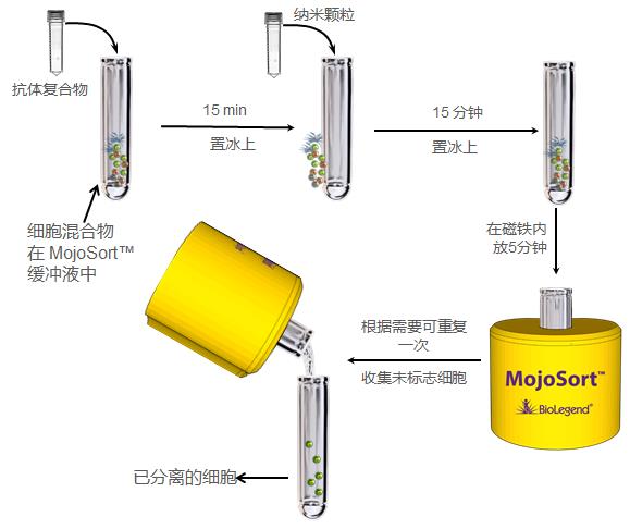 MojoSort 陰性選擇細胞分離步驟.jpg